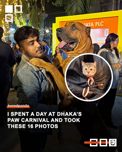 paw carnival photos.jpg