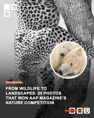 stunning nature photos aap.jpg