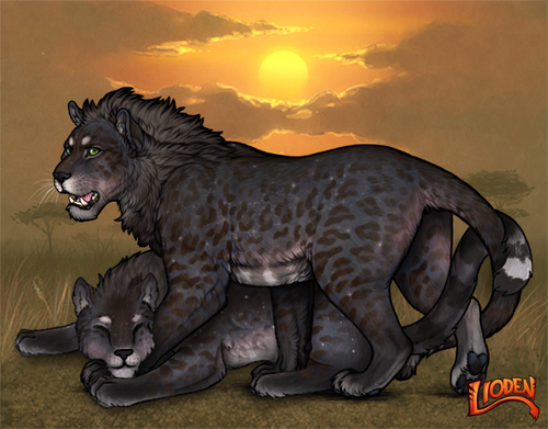 customdecors jaglions 2 3.png