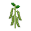 feijao.png