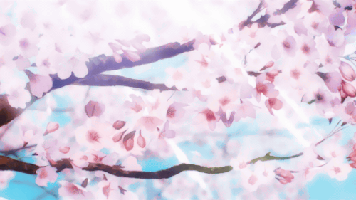 tumblr p2d3wpl5eu1qzxv73o1 540.gif