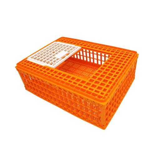 keranjang ayam kecil.jpg