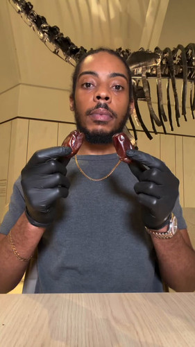 pvIS6v3AE7Lqja Q.jpg