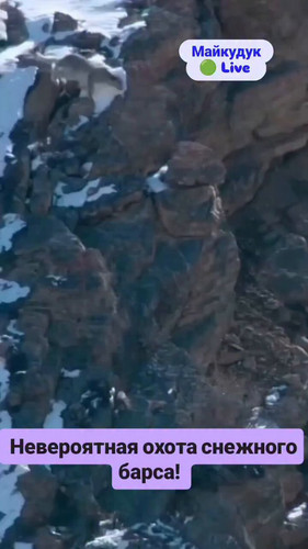 H6CDKZ3g7e hCgdQ.jpg