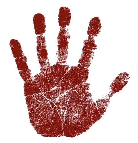 IMG 20260204 190349.png