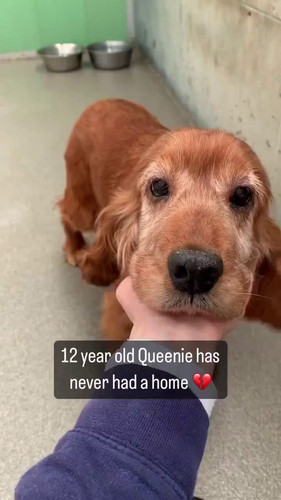 3x iHVNw4bp gygO.jpg