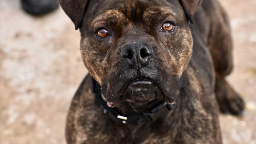 1BbR8nej950 vppy.jpg