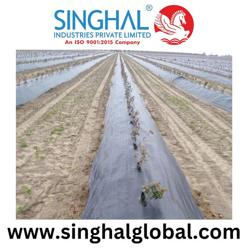 Your paragraph text (2).jpg