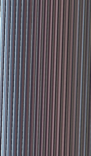 ANN 20260204 135616.jpg