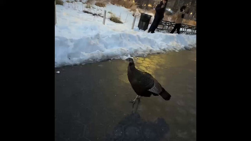 3RXfaSBNHW 5Q3P3.jpg