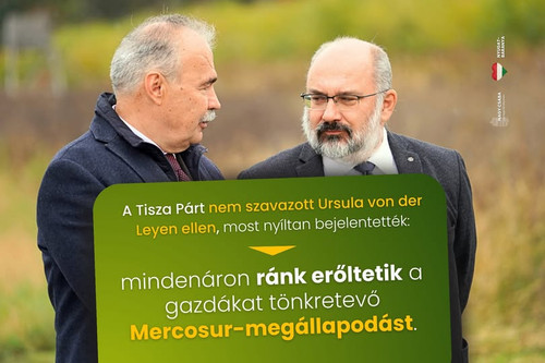 627419705 1468400461956447 6149732371284490980 n.jpg?stp=dst jpg p180x540 tt6& nc cat=105&ccb=1 7& n.jpg