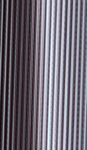 ANN 20260204 135341.jpg