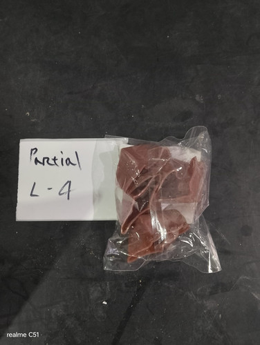 WhatsApp Image 2026 02 04 at 9.28.41 AM (2).jpg