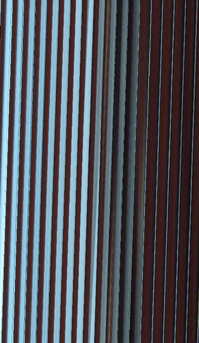 ANN 20260204 135537.jpg