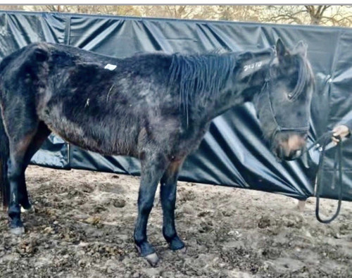 HAP QgfWUAEiae6?format=jpg.jpg