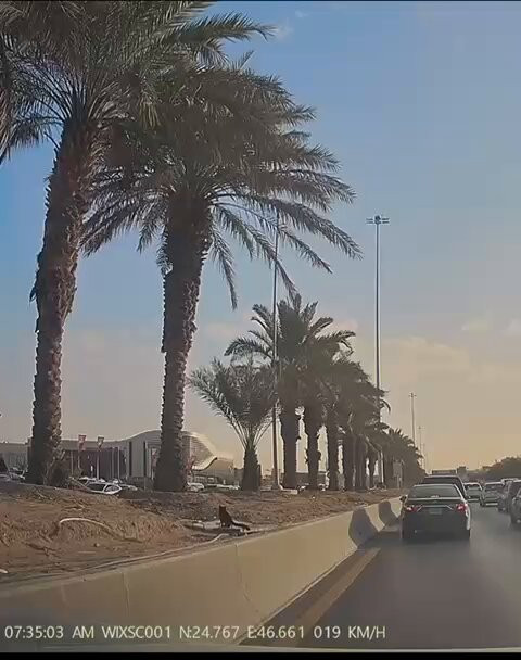 uzpOzoQGJTlV z3S.jpg