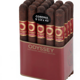 Screen Shot 2026 02 03 at 4.58.10 PM.png