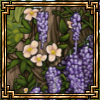 wisteria thumbn.png