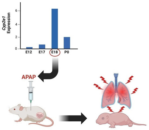 G 5QFcVbUAUFCRX?format=jpg.jpg