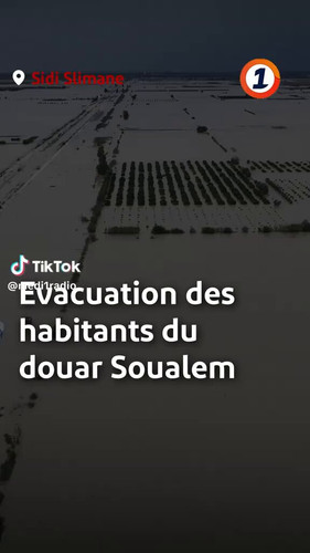 hftTsdCYDBw6 D3b.jpg