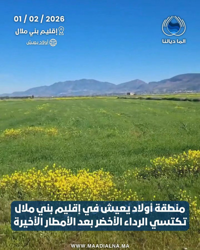 jAQ78j2 y9 WnGLe.jpg