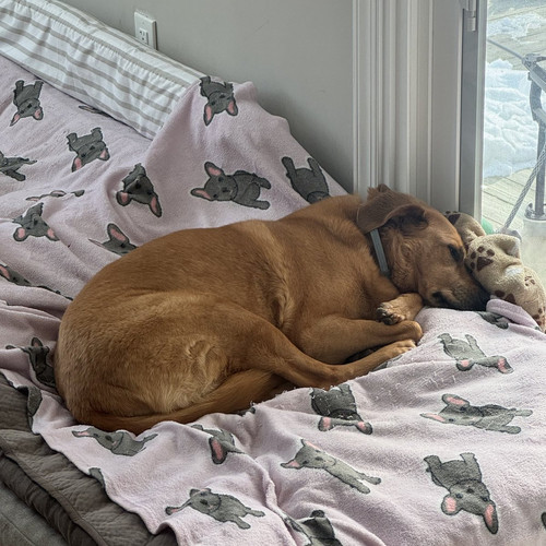 G n8pUXcAA8Mc5?format=jpg.jpg