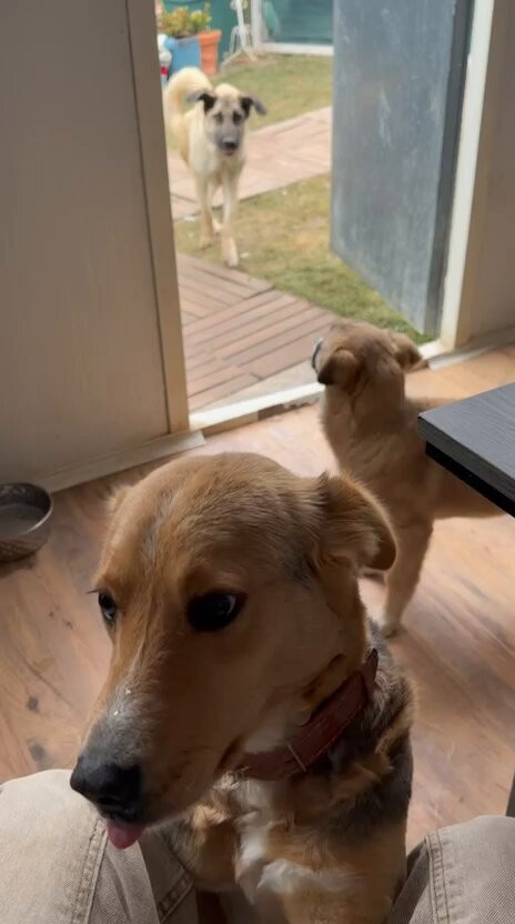 a kIbwNgMkPkCgQi.jpg