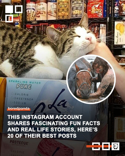 curiosities stories in images 5eeyouinhell.jpg