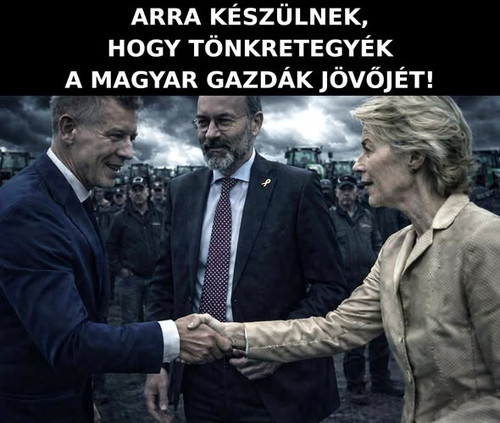 628143367 1415936793329449 3793959811208060225 n.jpg?stp=dst jpg s590x590 tt6& nc cat=111&ccb=1 7& n.jpg