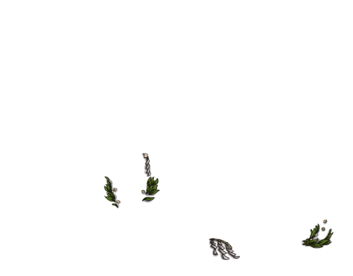 ADOL.png