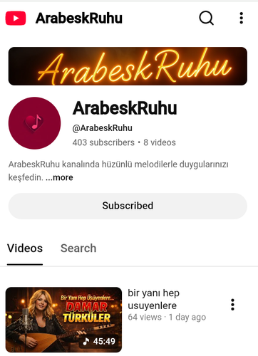 Screenshot 20260203 204816.png