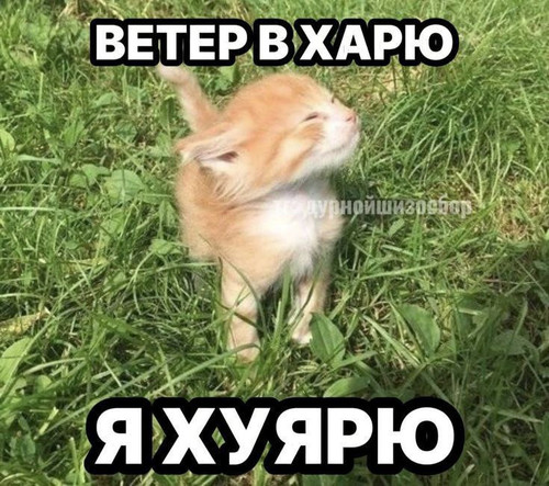source.jpg