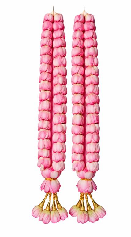 8731cfda b821 4944 8f1c 9ae07f0429a6.jpg