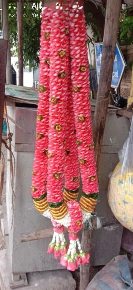 fbbd0f14 b13c 4de0 8c1d a71978e27479.jpg