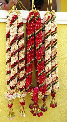 d717a0b4 8167 4e0d b68a 2db3b4eb3142.jpg