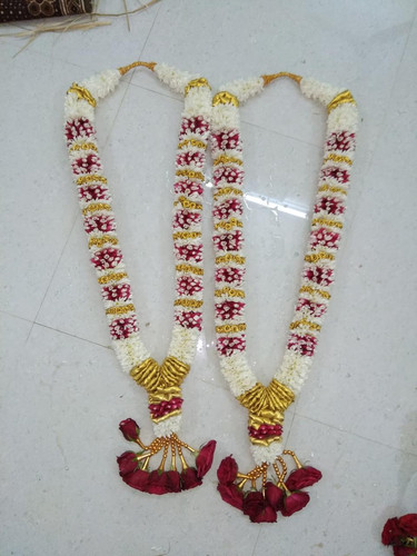 426b3938 6783 4d60 a791 606a1f619a5f.jpg