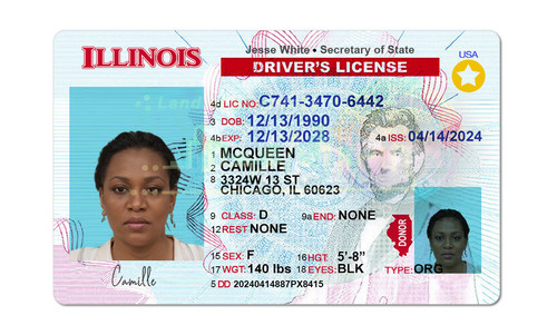 CAMILLE MCQUEEN.jpg