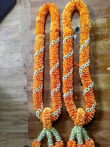 3733c776 aee9 4c82 b87e 16c84cb4e991.jpg