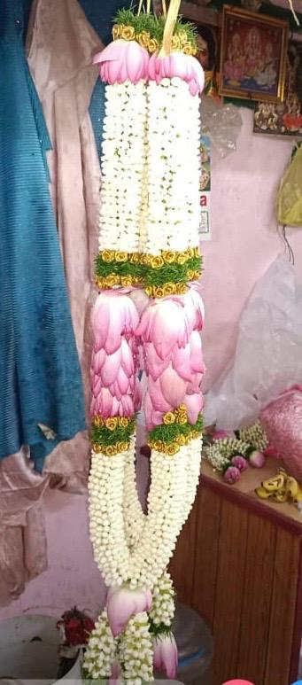 3896b00d 7314 4e1e 8ecb c50d263cb962.jpg