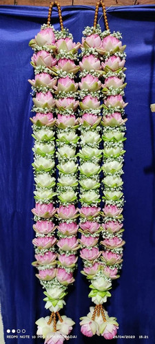 1d12882b d100 43a9 80b0 cbd2922f03f1.jpg