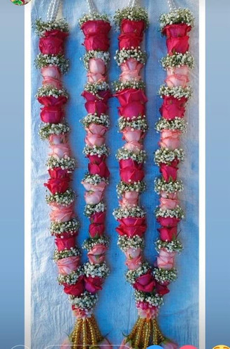 280b8827 7ad8 4b5a adc8 e8c248e56058.jpg