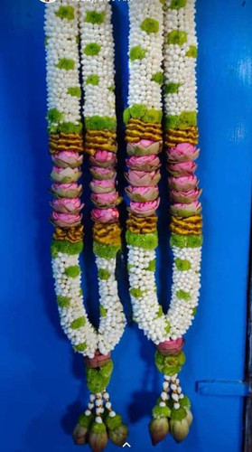 7cfeb608 c310 4750 9d1a d5f65eec8479.jpg