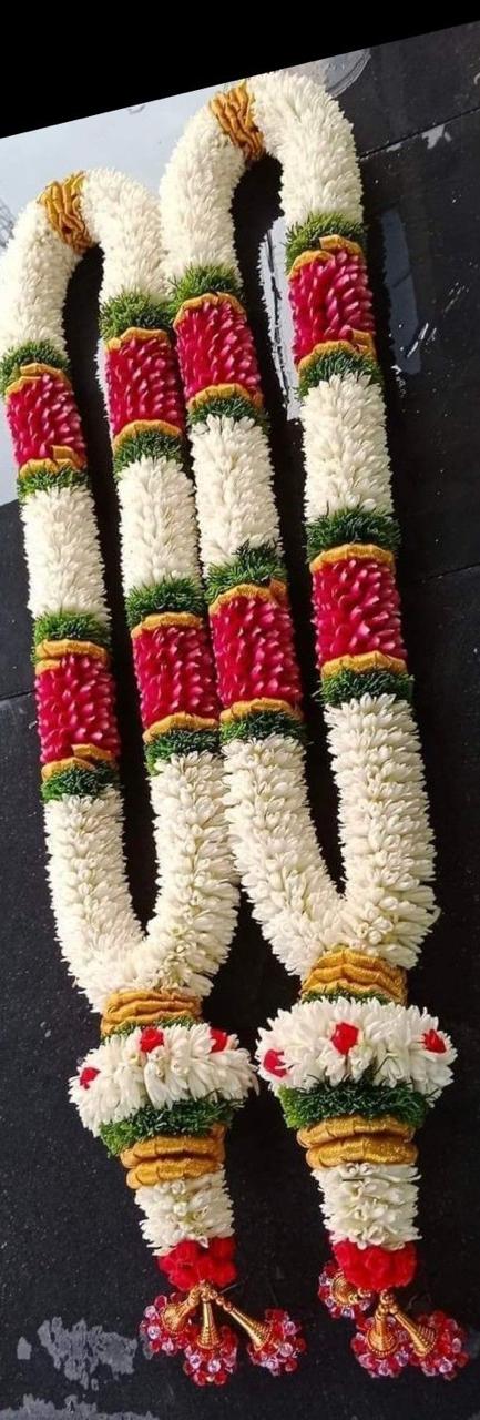 a8ae7e59 deb1 442b 8855 e669c383809a.jpg