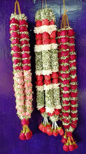 edbb3360 b695 4b6e 95d2 6bd2d38e44b1.jpg