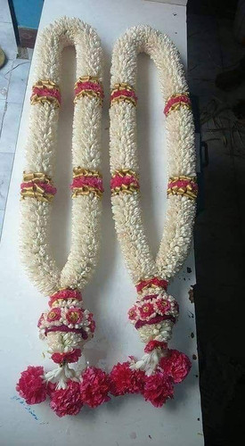 1b9f017f 46aa 4081 9592 46c5fc85db80.jpg