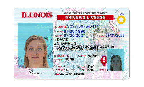 SHANNON DAVIS.jpg
