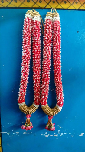 4a5617a3 754f 45da bfe6 e34516631a09.jpg