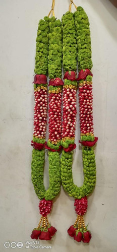 5350ac35 56d2 459e aecd cb2a4f050cb2.jpg