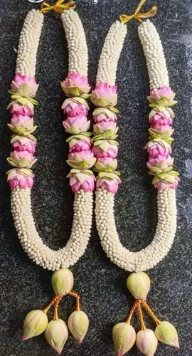 c1c28c5e 392c 4f63 b214 c8a6a7338395.jpg