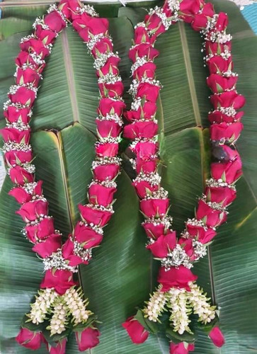 92c082a7 f265 422f b221 c33266358f56.jpg